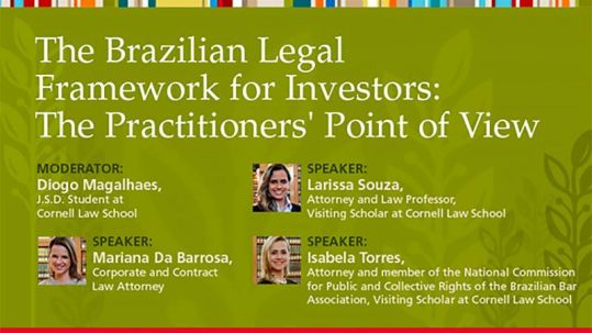 THE BRAZILIAN LEGAL FRAMEWORK FOR INVESTORS: THE PRACTITIONERS' POINT OF VIEW